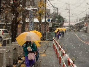 img_0428
