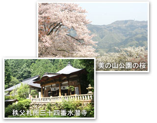 美の山公園の桜、秩父札所三十四番水潜寺