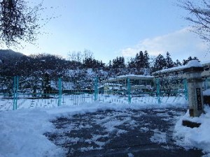 DSC09917