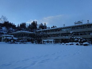DSC09919