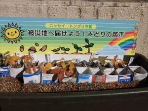 cimg1158_r