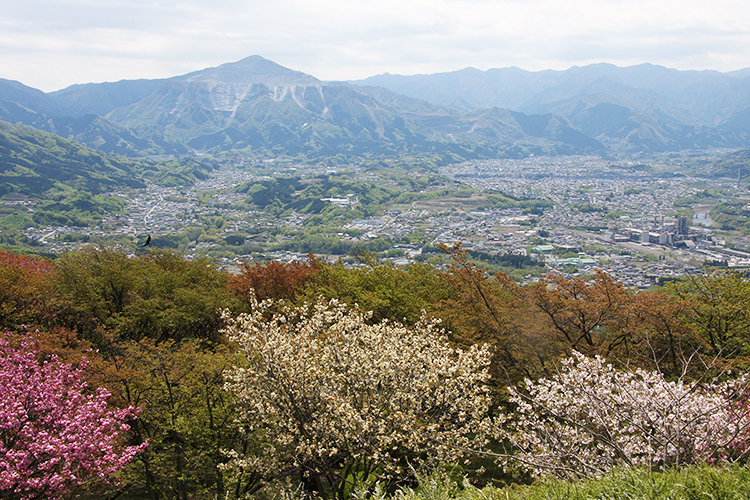 美の山