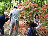美の山つつじまつりが行われました画像７