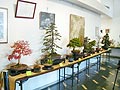 みんなの皆野ふれあいまつりが行われました。画像１７