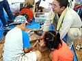みんなの皆野ふれあいまつりが行われました。画像８