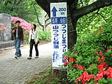 美の山公園つつじまつり画像１