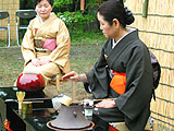 美の山公園つつじまつり画像４