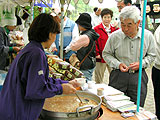 美の山公園つつじまつり画像６