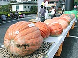 みんなの皆野ふれあいまつりが行われました画像７