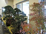 みんなの皆野ふれあいまつりが行われました画像１１