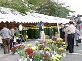 みんなの皆野ふれあいまつりが行われました画像１
