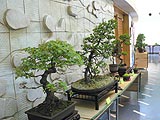 みんなの皆野ふれあいまつりが行われました画像１２