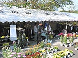 みんなの皆野ふれあいまつりが行われました画像４