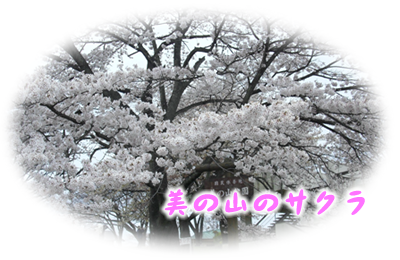 ban_sakura.png