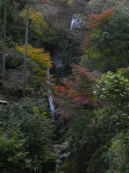 秩父華厳の滝.JPG
