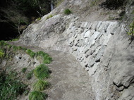 CIMG6211.JPG